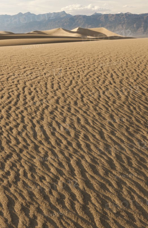 Sand dunes in the desert.