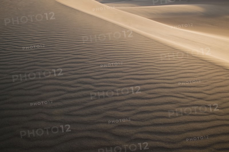 Sand dunes in the desert.