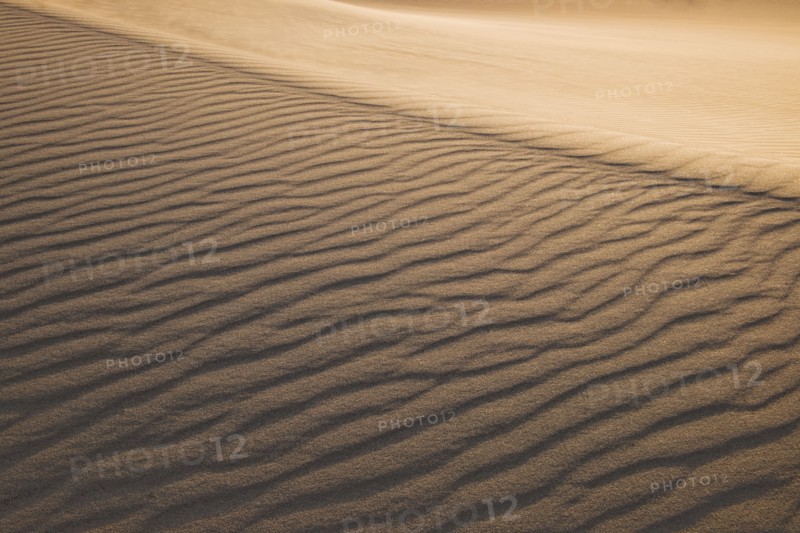 Sand dunes in the desert.