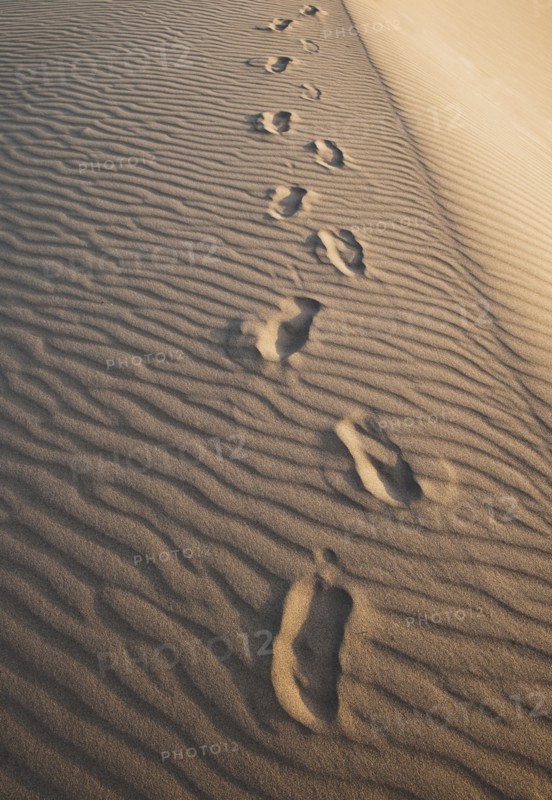 Sand dunes in the desert with footprints.