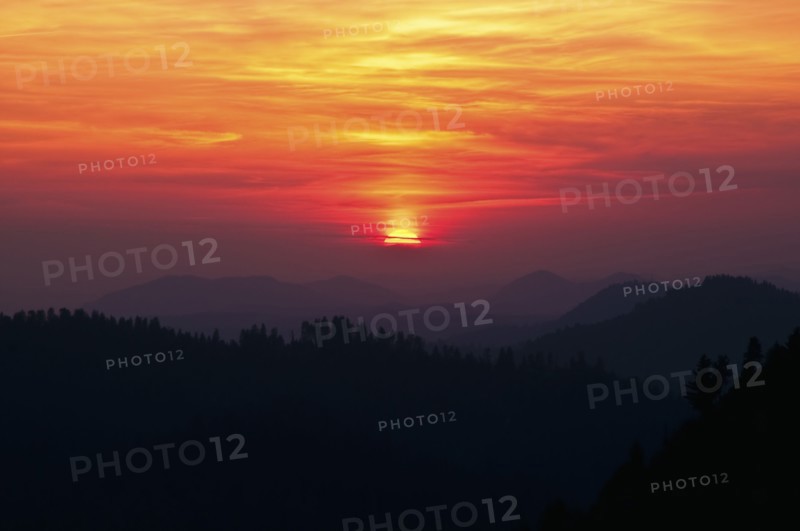 Sequoia National Forest
