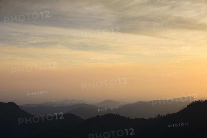 Mountain landscape with trees.