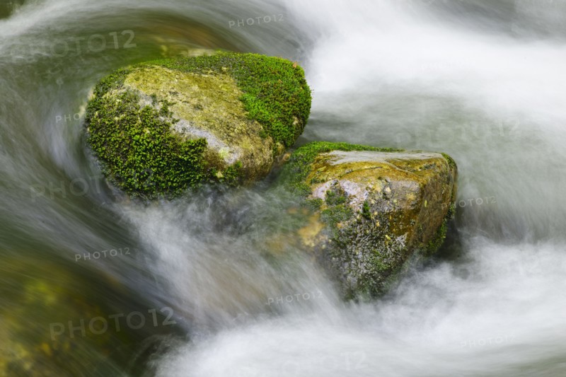 Flowing creek.