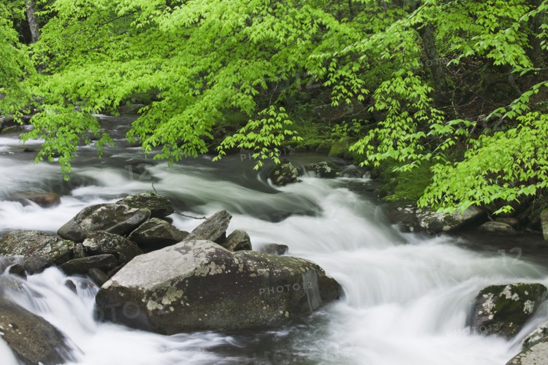 Flowing creek.