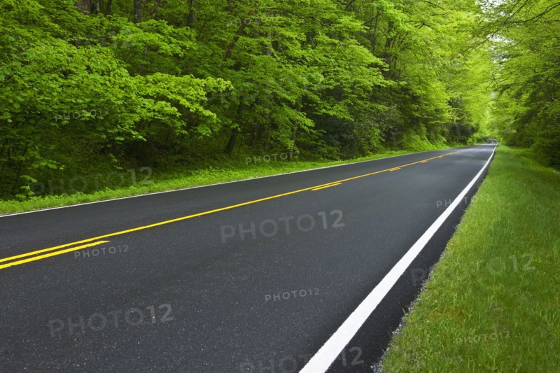 A scenic and empty road.