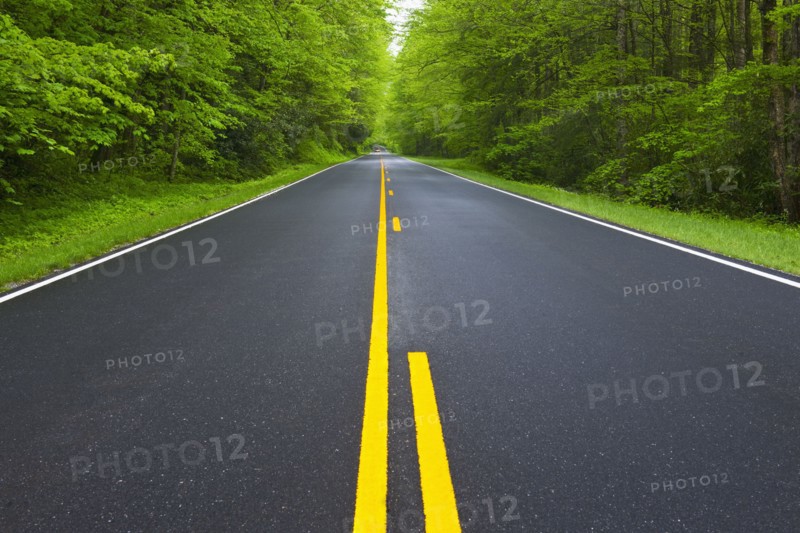 A scenic and empty road.