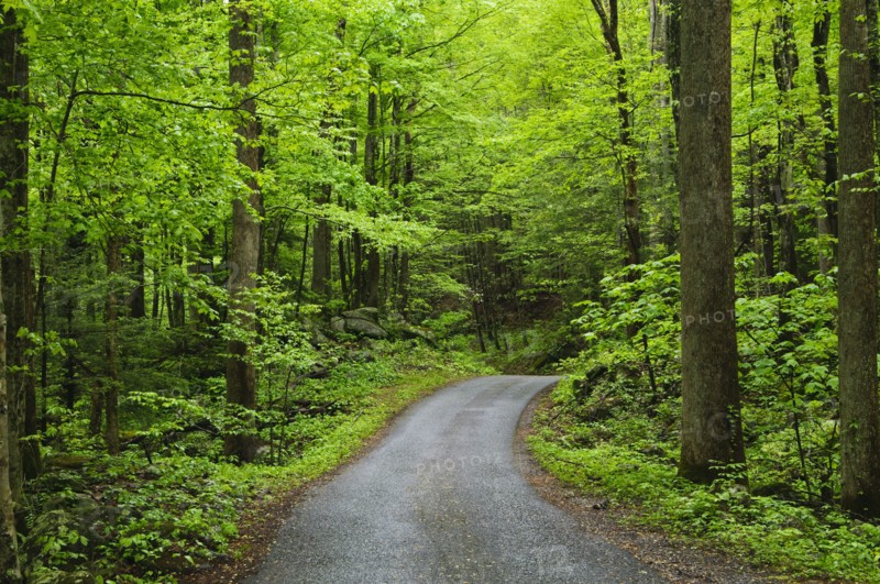 A scenic and empty path