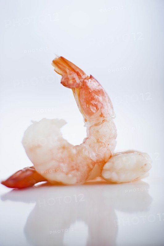Two shrimps.