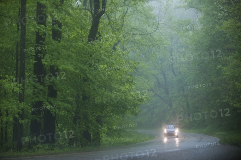 A scenic and empty road.