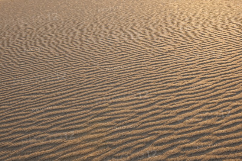 Sand dunes in the desert.