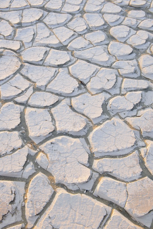 Cracked earth.