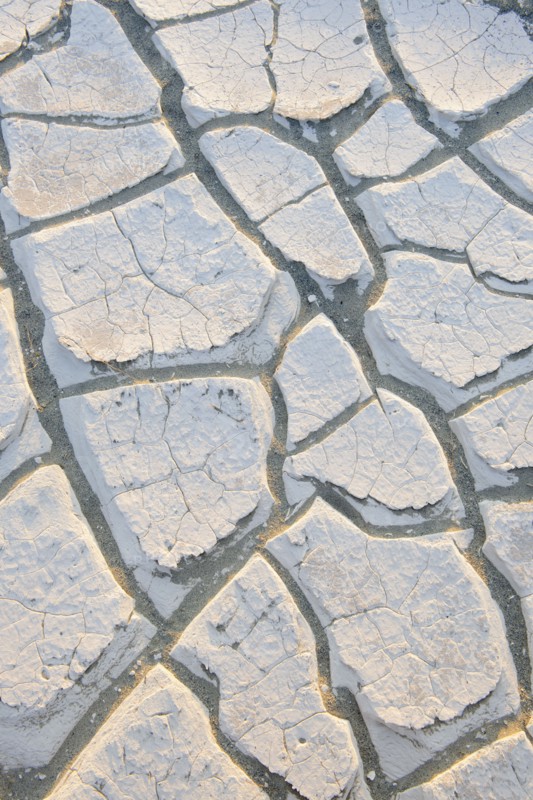 Cracked earth.