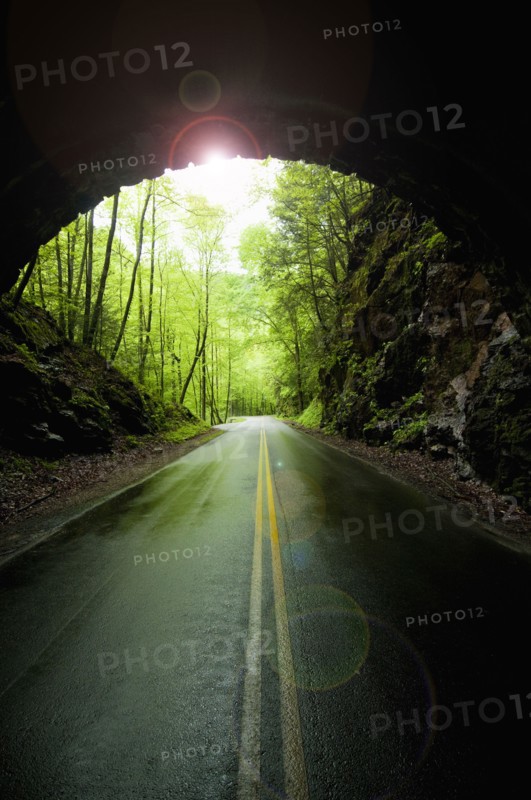 A scenic and empty road with tunnel