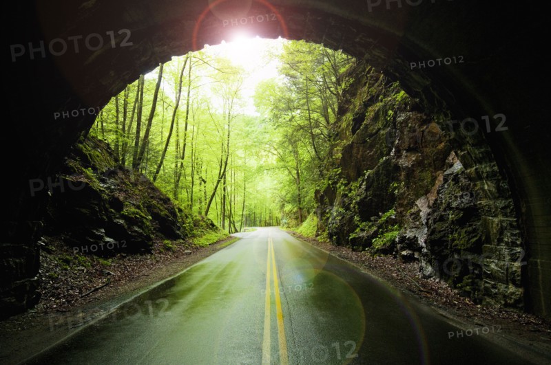 A scenic and empty road with tunnel