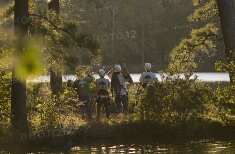 Four construction workers by a lake with tools