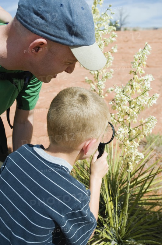 A father and son at Red Rock examining plants