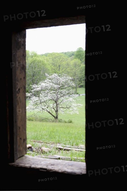 A window in a cabin