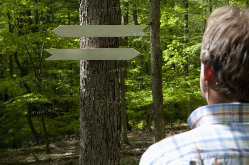 Arrow signs in the woods