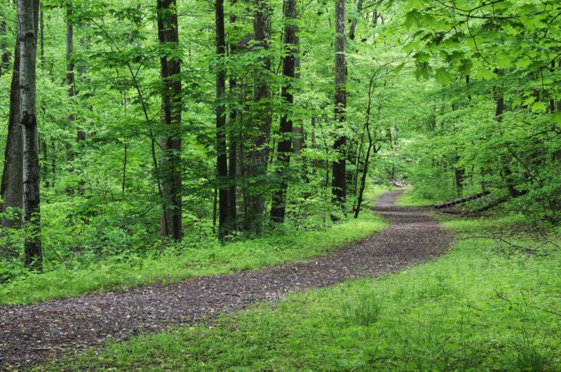 A scenic and empty path