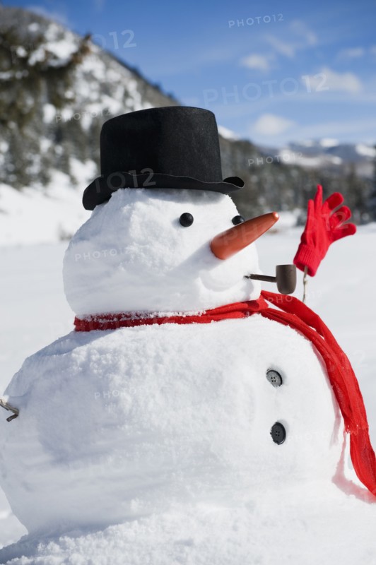 A snowman
