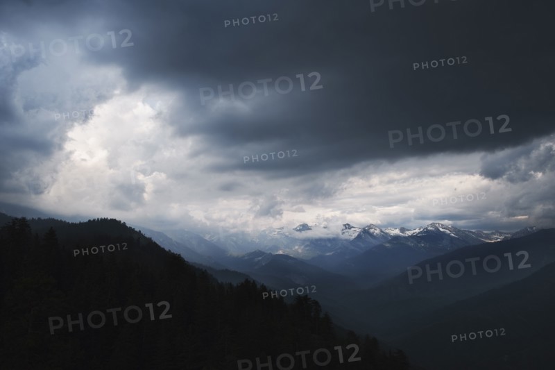 Mountain landscape with trees.