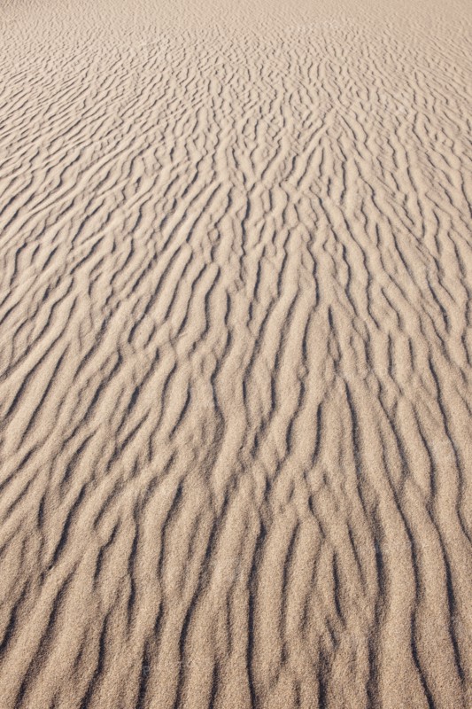 Sand dunes in the desert.