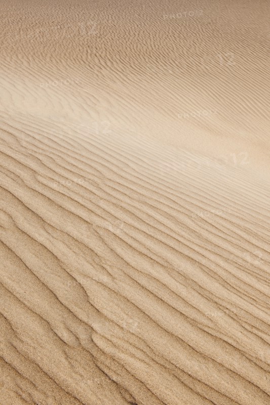 Sand dunes in the desert.