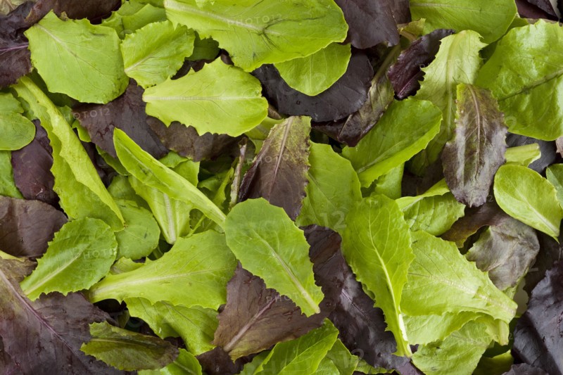 Salad greens.