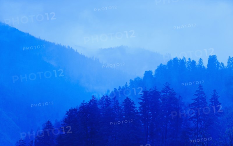 Mountain landscape with trees.