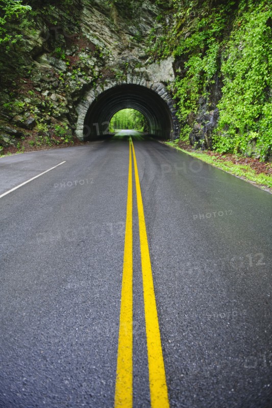 A scenic and empty road with tunnel.