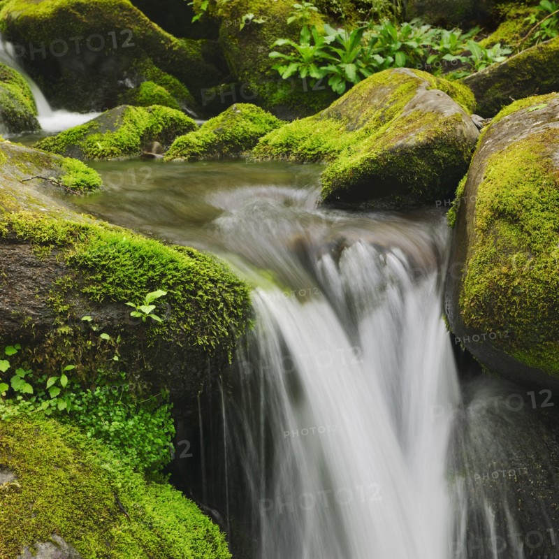 Flowing creek.