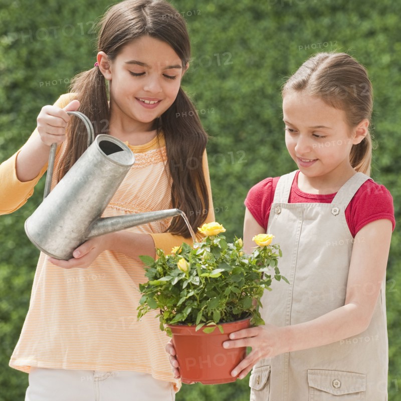 Two young girls watering a flower.