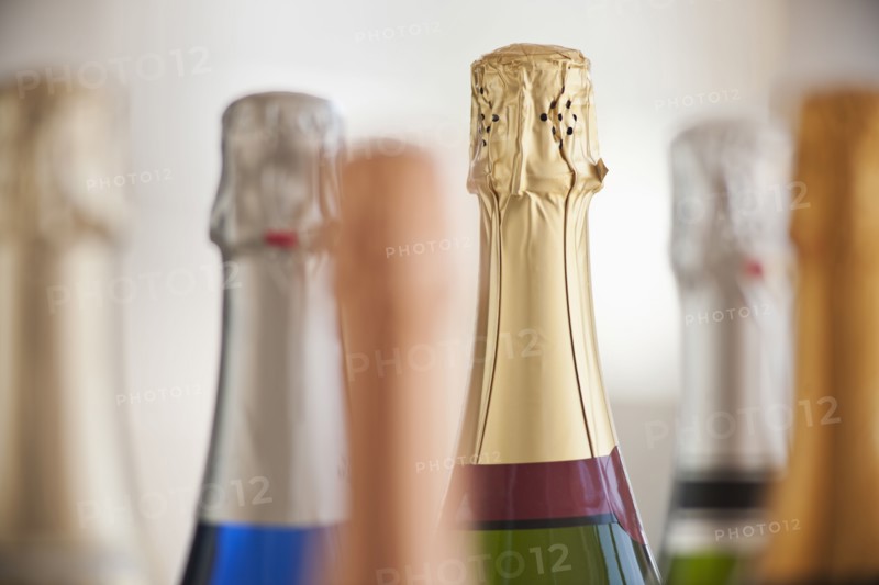 Six champagne bottles.