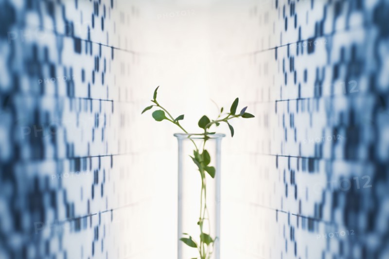 Vase against medical background.