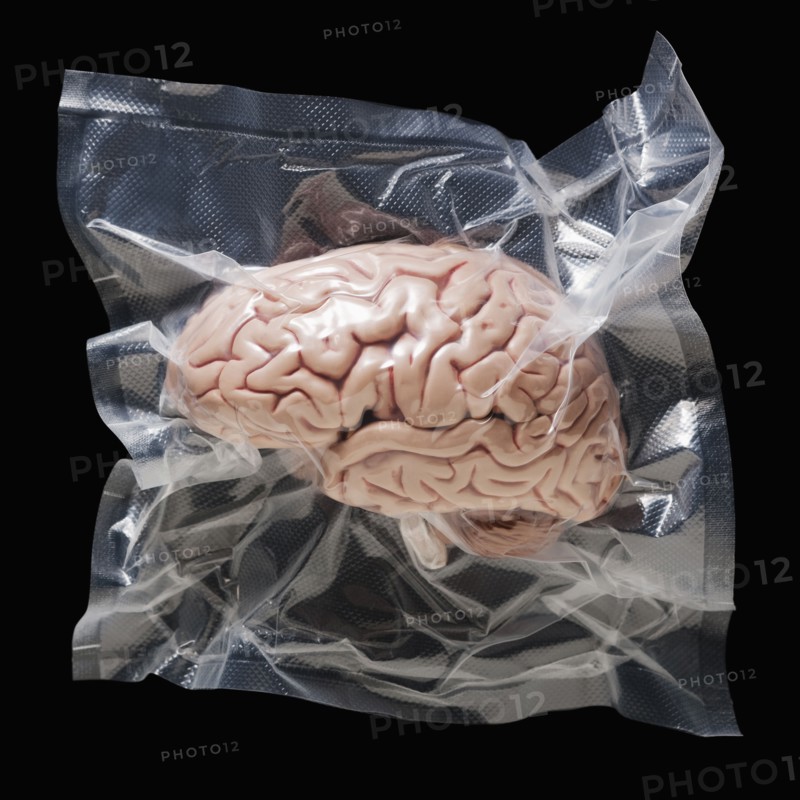 Shrink wrapped brain
