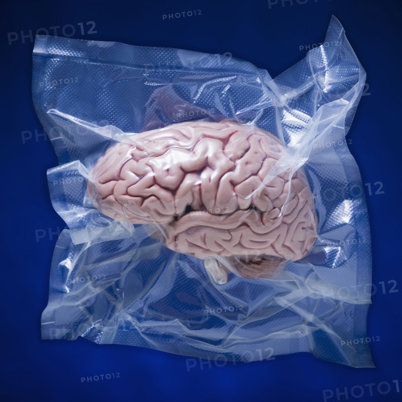Shrink wrapped brain