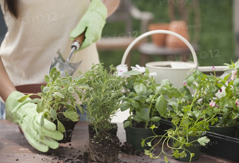 Woman gardening.