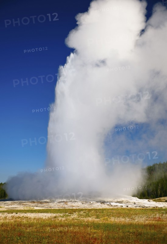 Old Faithful Geyser.