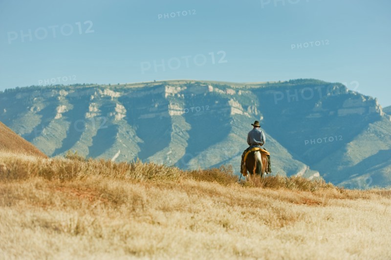 Cowboy.