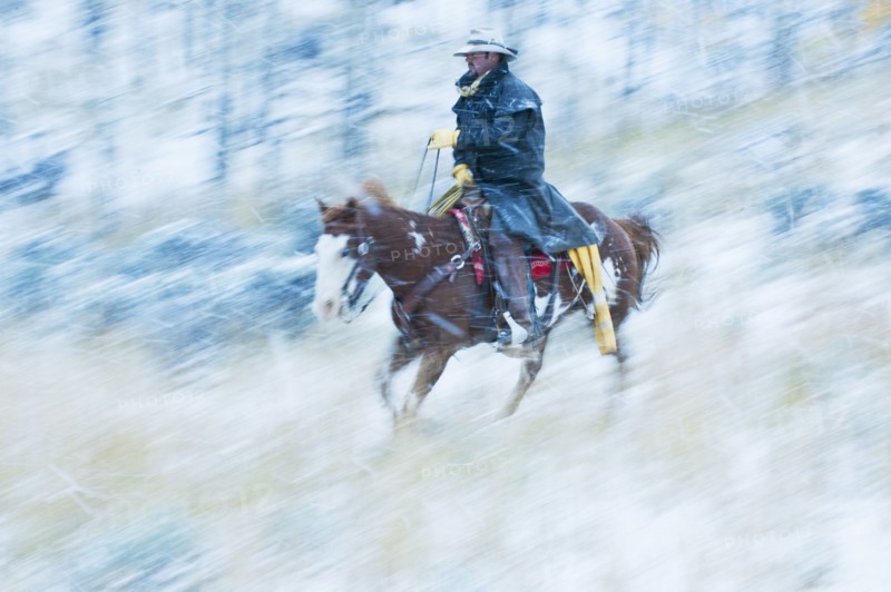 Horseback rider.