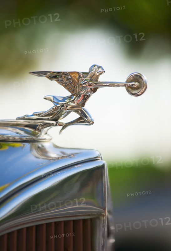 Hood ornament on classic car.
