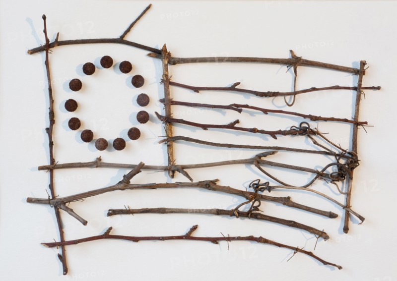 Twigs in shape of American flag.