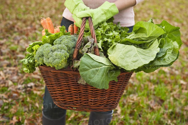 Basket of vegetables.