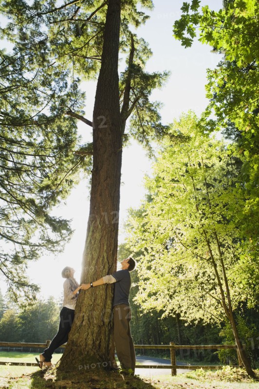 Couple hugging tree