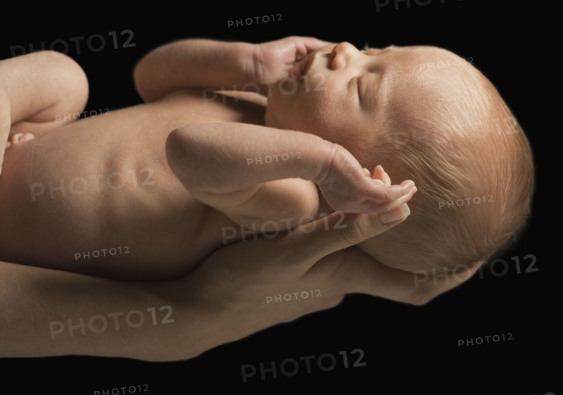 Newborn