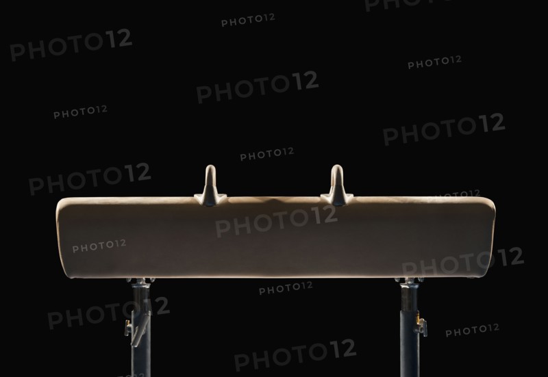 Pommel horse