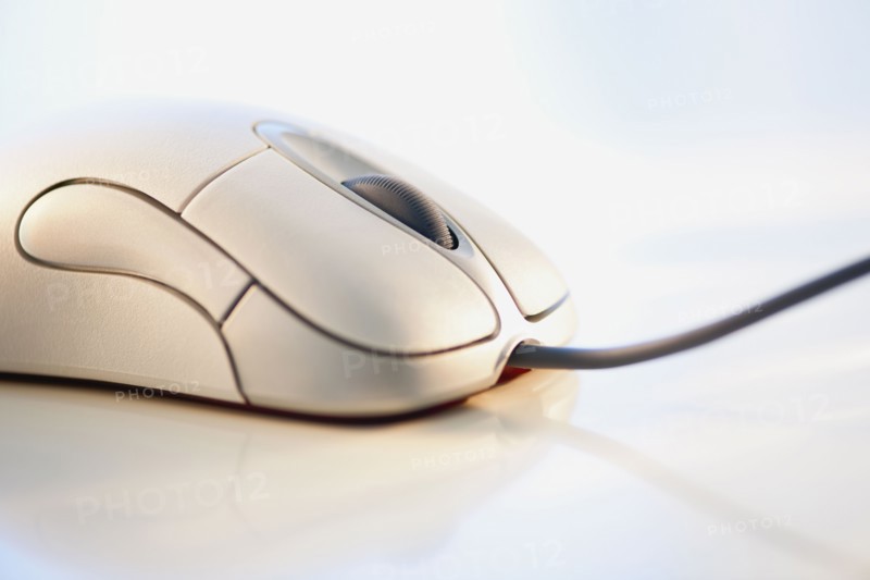 Computer mouse.