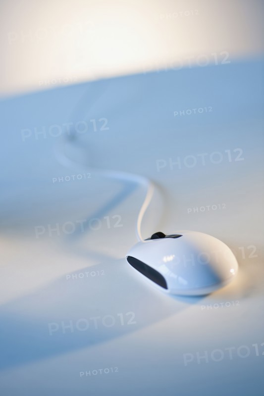 Computer mouse.