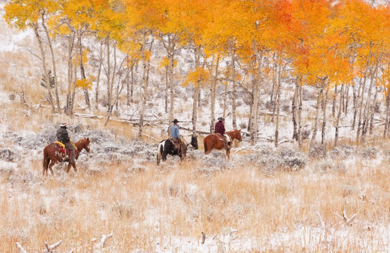 Horseback riders.