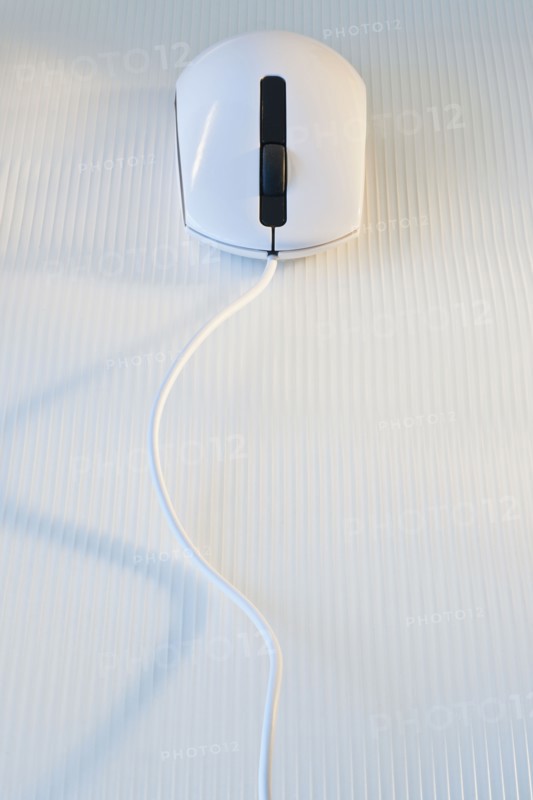 Computer mouse.